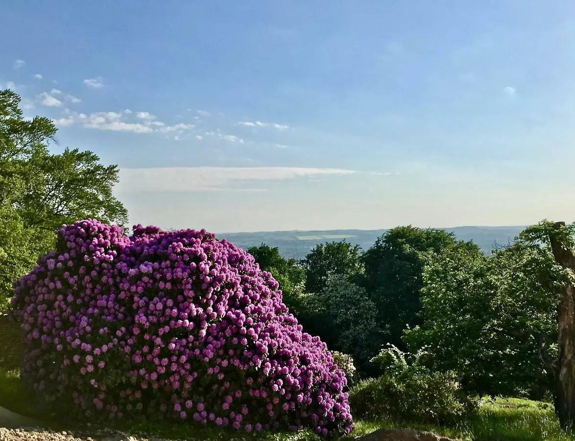 Ferienwohnung Natur Und Kunst Drážďany 0*,  Německo