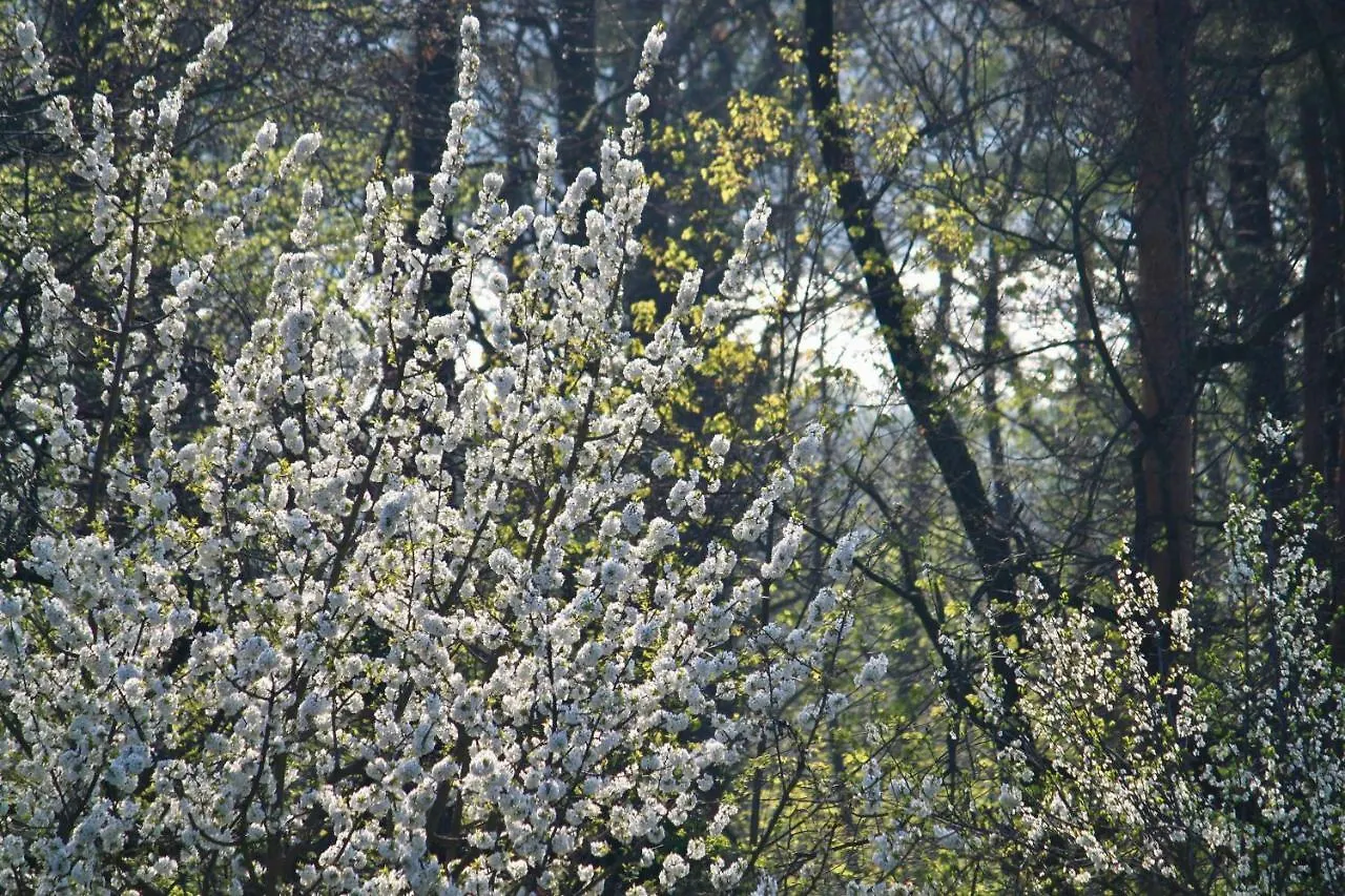 Ferienwohnung Natur Und Kunst Drážďany