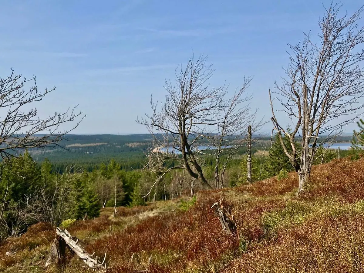 Ferienwohnung Natur Und Kunst Drážďany