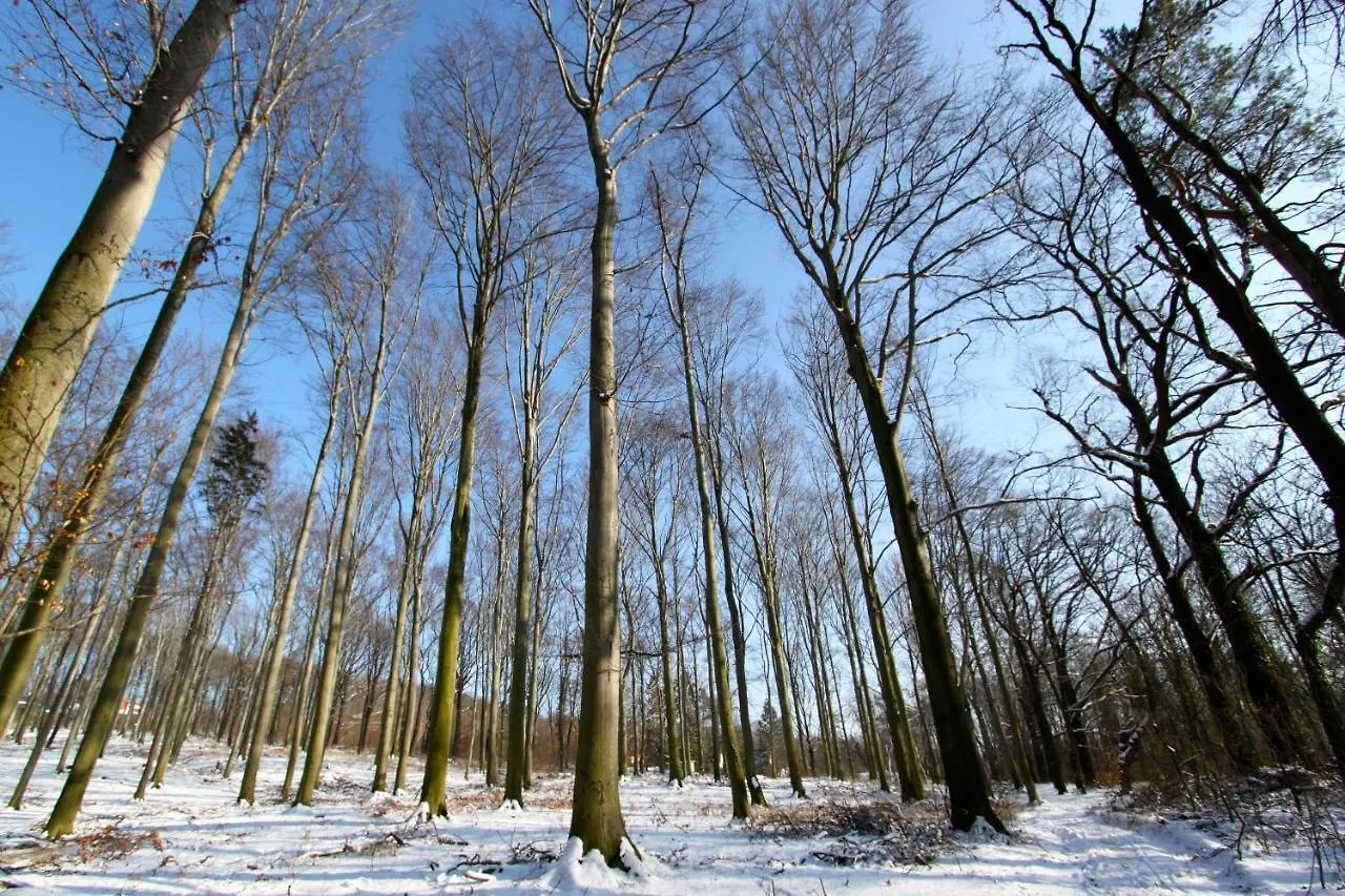 Ferienwohnung Natur Und Kunst Drážďany Německo