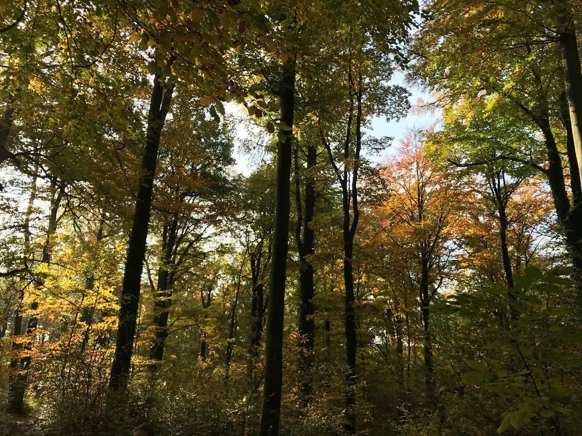 Ferienwohnung Natur und Kunst Dresden