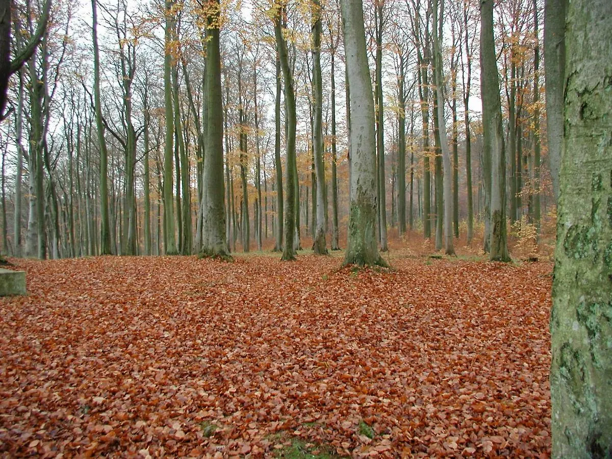 Ferienwohnung Natur Und Kunst Dresden Germany