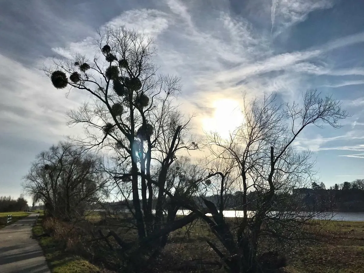 Ferienwohnung Natur Und Kunst Dresden 0*,
